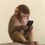 FONE