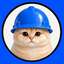 BASECAT